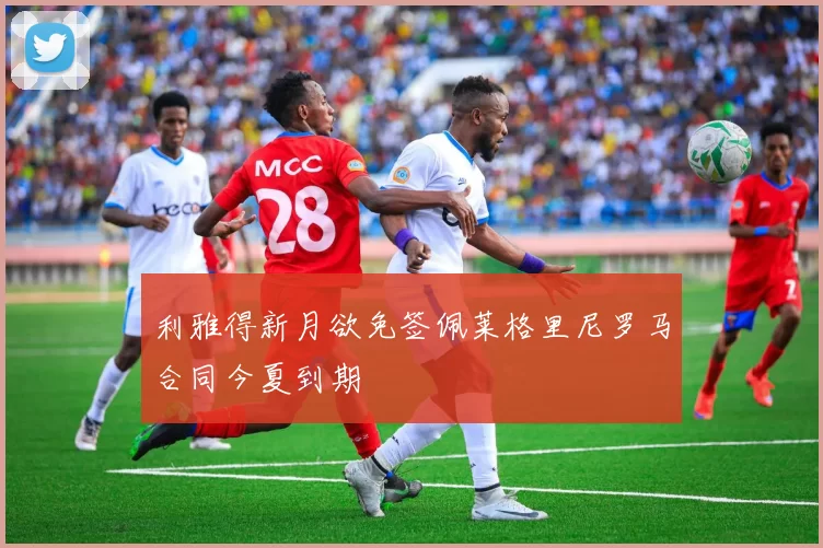 利雅得新月欲免签佩莱格里尼罗马合同今夏到期