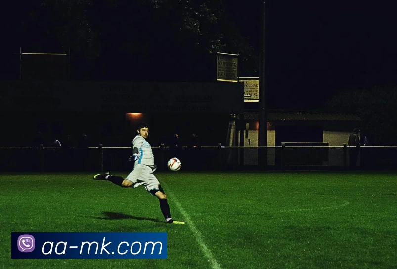 MK体育APP 封面图